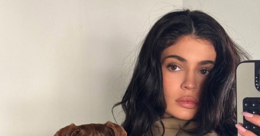 Did Timothée Chalamet #39 s sister just diss Kylie Jenner?