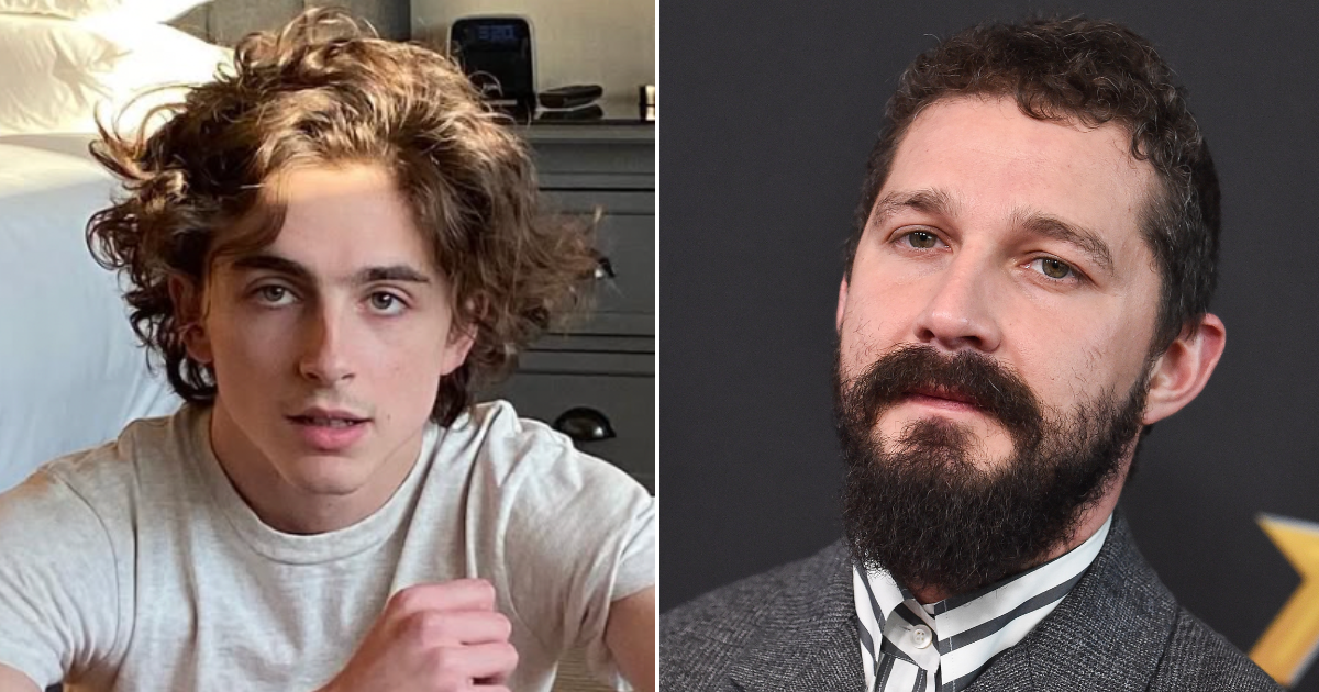 Timothée Chalamet Shia LaBeouf