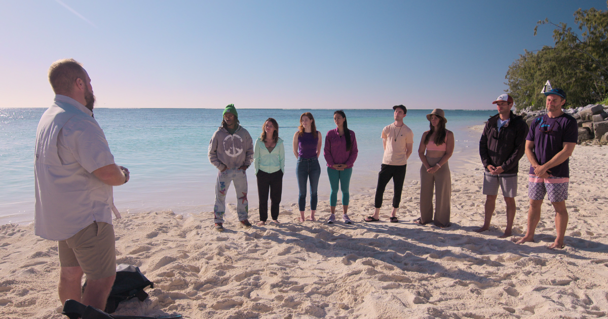 All the Sharks Netflix Tom "Blowfish" Hird, Randy Thomas, Rosie Moore, Aliah Banchik, MJ Algarra, Dan Abbott, Sarah Roberts, Brendan Talwar, Chris Malinowski