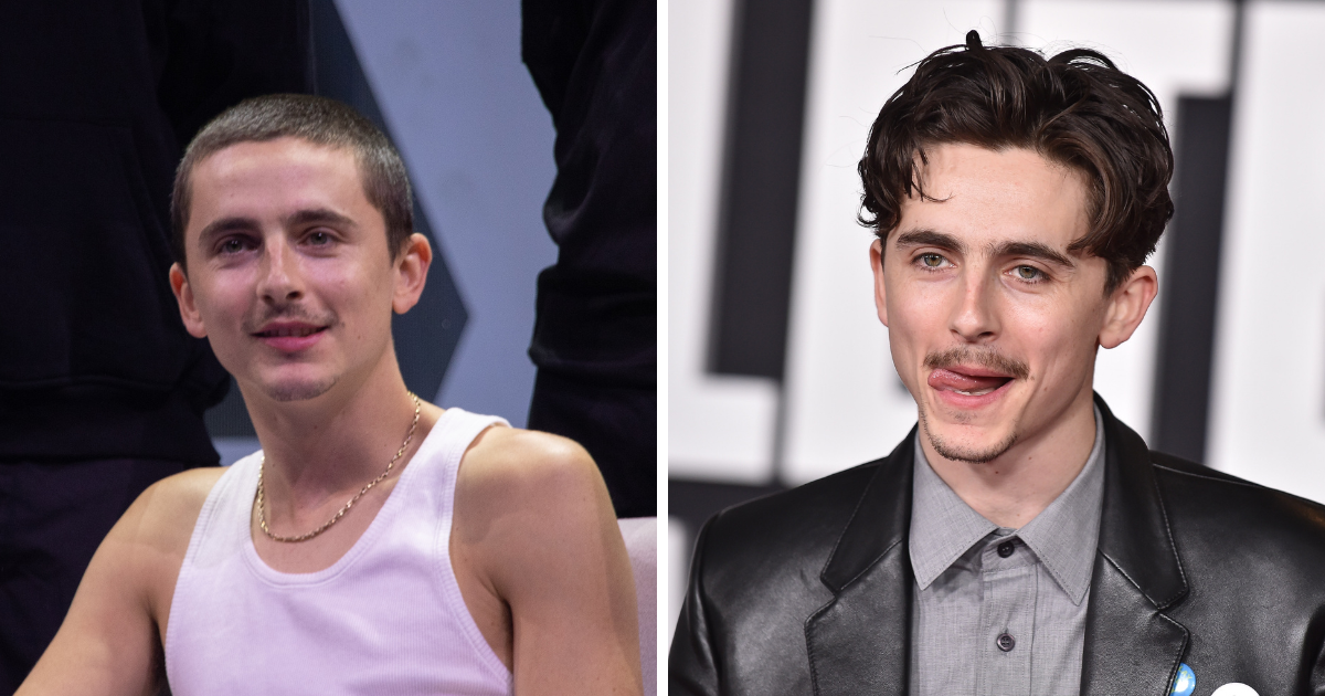 Timothee Chalamet