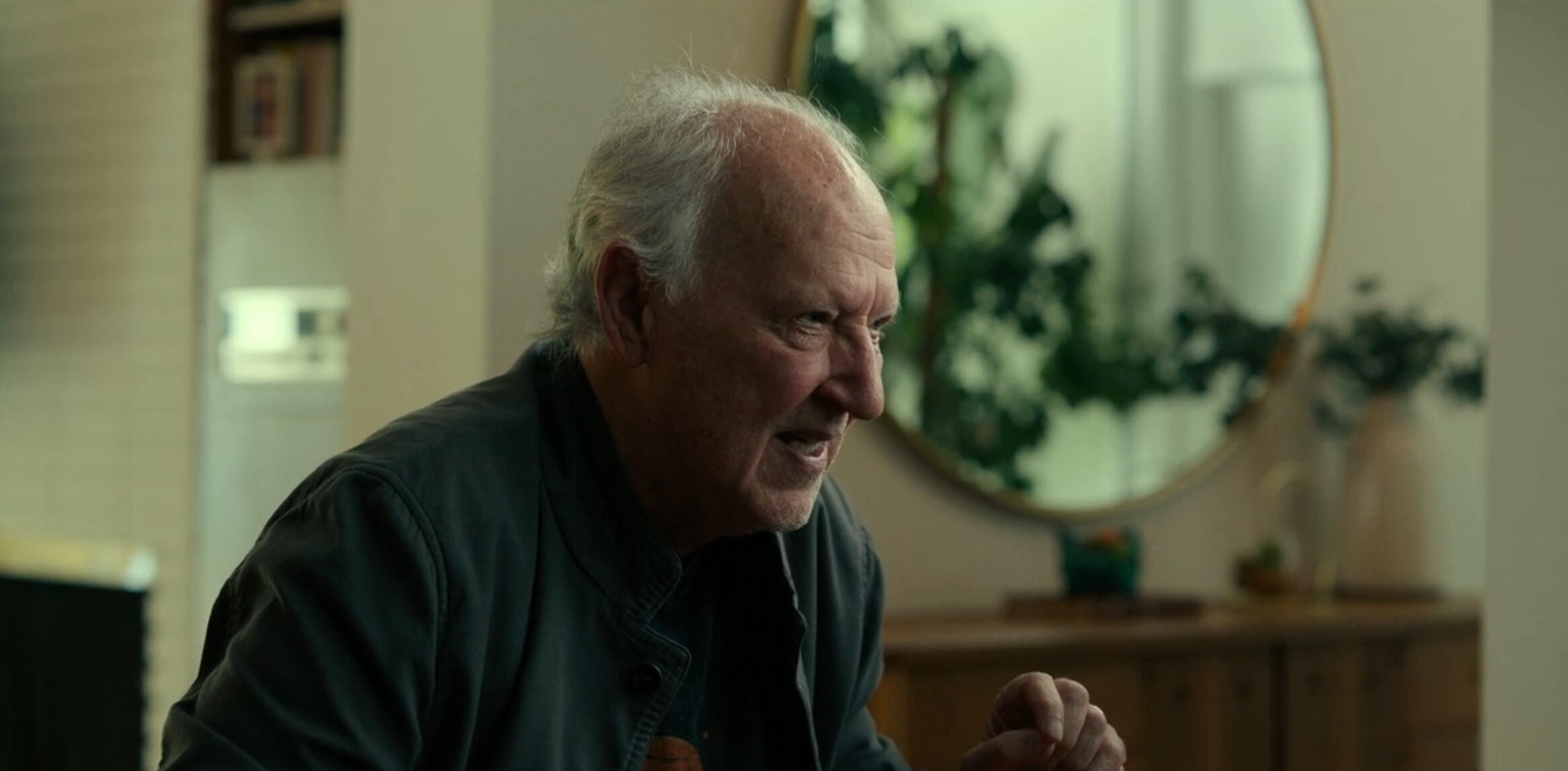 Werner Herzog Netflix Hulk Hogan doc