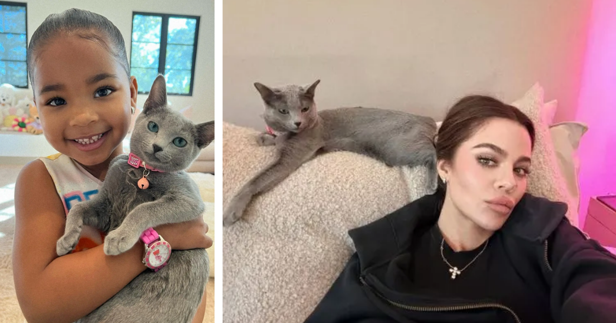 Khloe Kardashian cats declawing