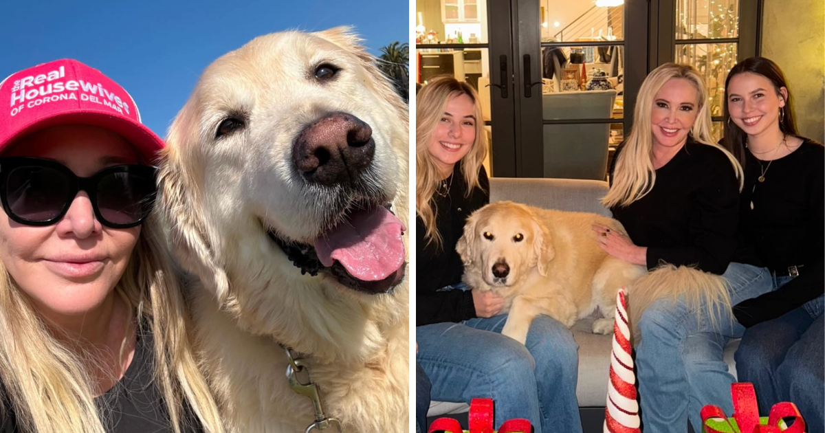Shannon Beador dog Archie