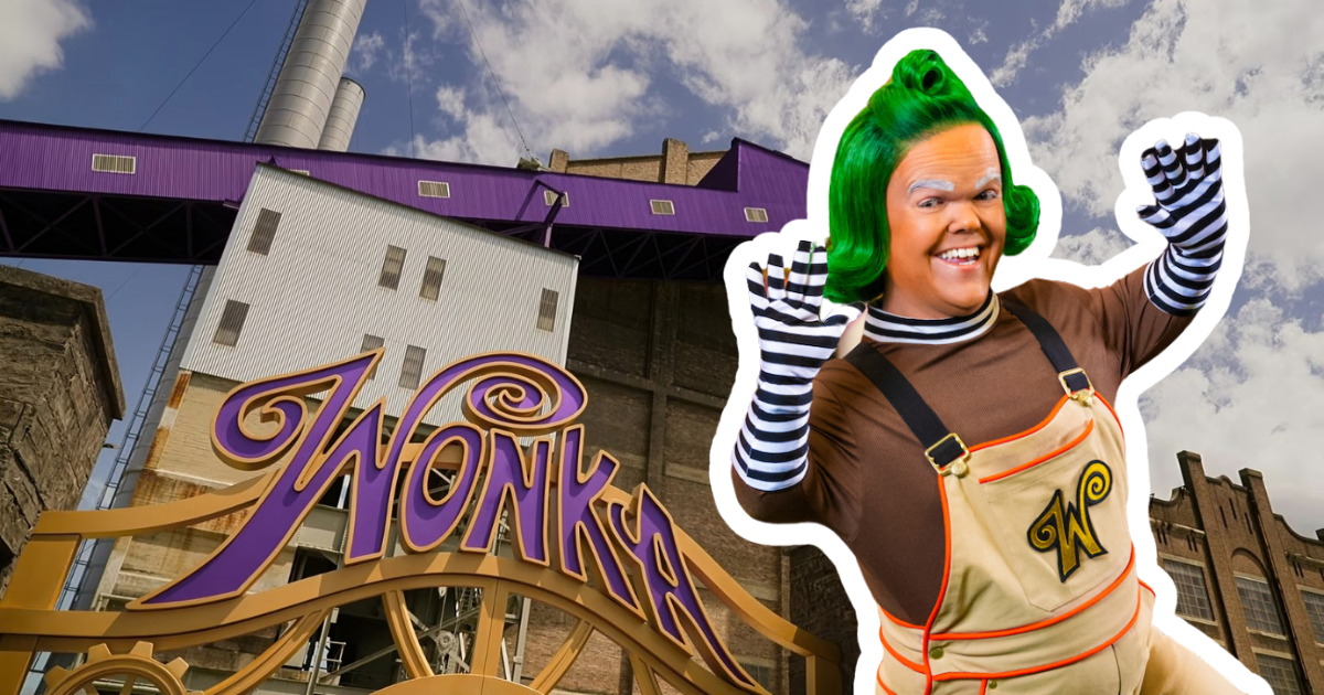 What is Netflix's newest series Wonka's The Golden Ticket and when does it air?