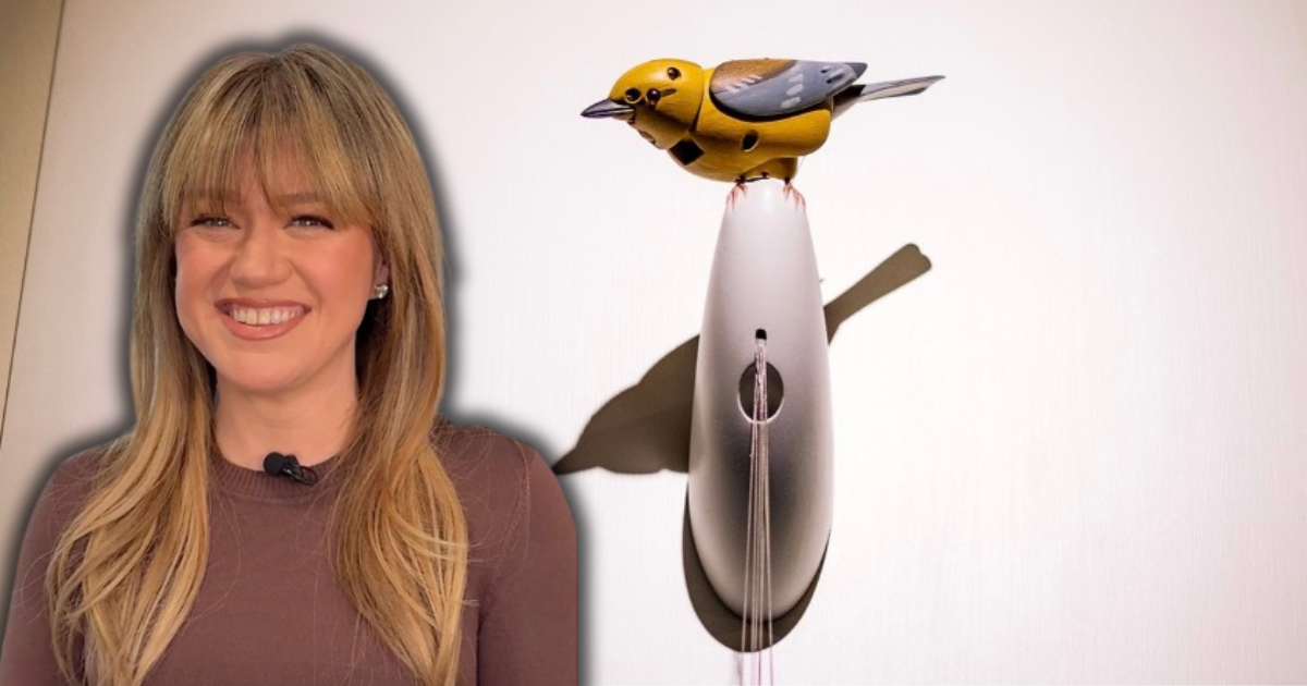 Newly released Kelly Clarkson footage in Art of Play shows her interaction with shop owners